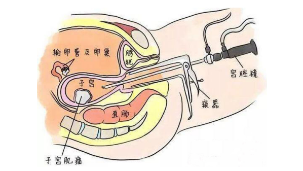 仁慈醫(yī)院